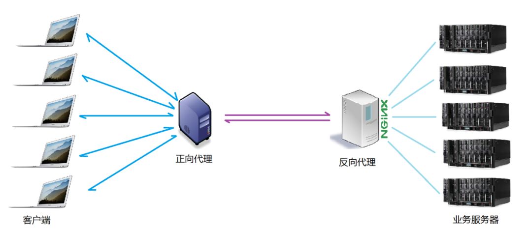 正向代理与反向代理